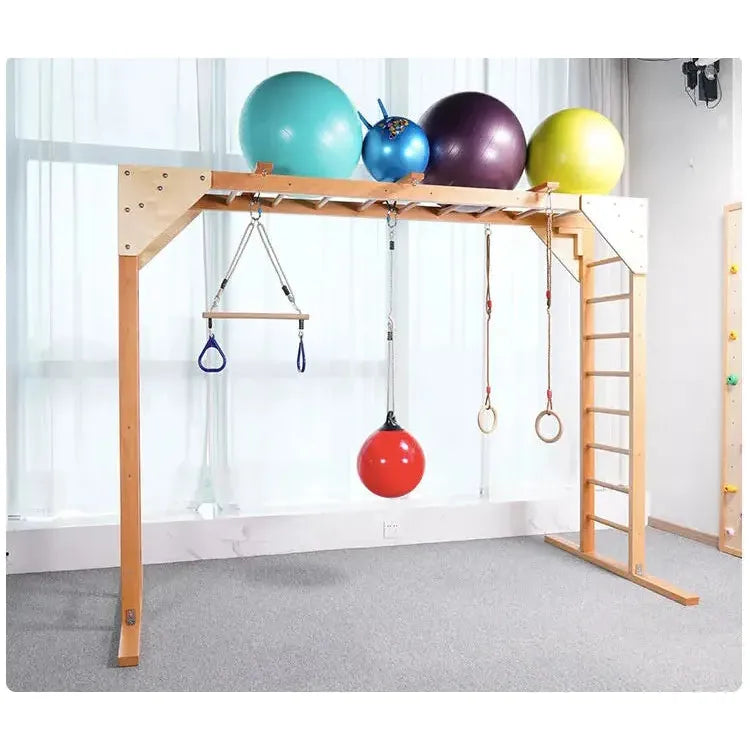 The Indoor Sensory Fitness Ladder for Kids is a sleek wooden climbing frame perfect for sensory integration training. It includes a ladder, monkey bars, hanging gym equipment, and four colorful exercise balls. It looks great with white curtains and gray carpet.