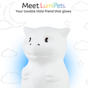 A white Dragon Silicone Night Light glows in front of a background with line-drawn clouds, stars, and a crescent moon, with text introducing it as a cuddly kids night light.