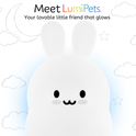 Baxter the Bunny Silicone Night Light is a glowing white silicone bunny with a happy facial expression, set against a background of simple line drawings of clouds, a crescent moon, and stars.