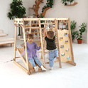 Two young kids play on the 6in1 Indoor Jungle Gym for Toddler, featuring a playground, swings set, slide board, rope, and stairs. The girl in a purple dress sits on the slide; the boy in black scales the rope net in a bright room with green plants.