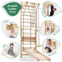 The 6in1 Wooden Swedish Wall / Climbing Ladder for Children + Swing Set + Slide Board is shown with kids using the rope, rings, slide, pull-up bar, and disk swing in labeled circles to inspire indoor play ideas.