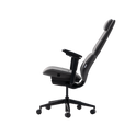 The Hexcal Inspire Chair is a modern ergonomic office chair with adjustable armrests, a high backrest, headrest, and five-wheel base, featuring a sleek, minimalist design. Side view shown on a white background.