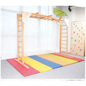 Indoor Sensory Fitness Ladder for Kids: Swing Climbing and Suspension Play Equipment