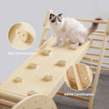 A fluffy cat stands on the wooden ramp of a 7-in-1 Montessori Climbing Set with Play Pad, which features small grips and circular callouts pointing to its painted surface and structural frame.