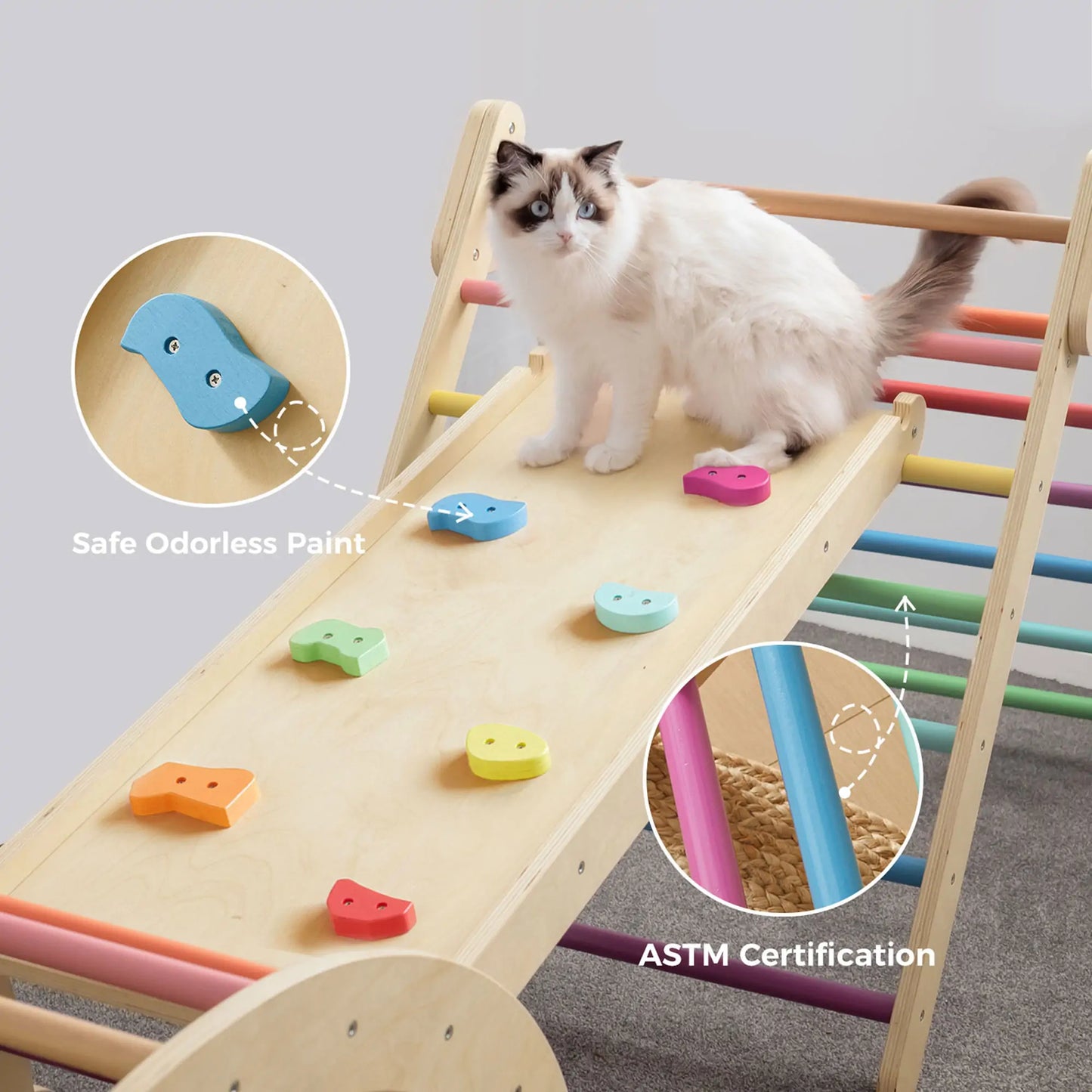 A fluffy white and gray cat sits on a wooden ramp with colorful footholds, part of the Tiny Land® 7-in-1 Rainbow Climbing Set. The set uses safe, odorless paint, is ASTM-certified, and features a vibrant Pikler Triangle structure.